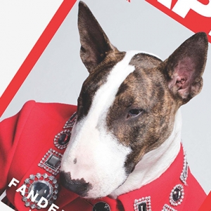 Маленький принц: первая журнальная обложка Невилла Джейкобса