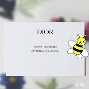 Прямая трансляция показа коллекции Dior Homme, весна-лето 2019