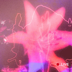 Прямая трансляция показа Prada, осень-зима 2019