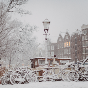 Как провести новогодние каникулы в Амстердаме