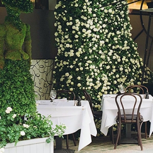 Dior украсит террасу Scott's Restaurant и примет участие в выставке садов Челси