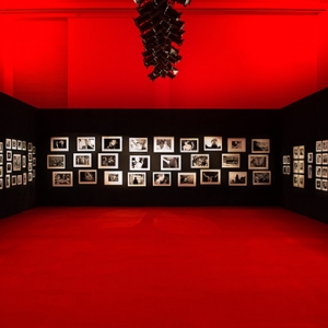 Выставка Жана Пигоцци открылась в Пекине