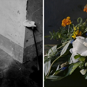 Ярмарка фотографии AIPAD прошла в Нью-Йорке