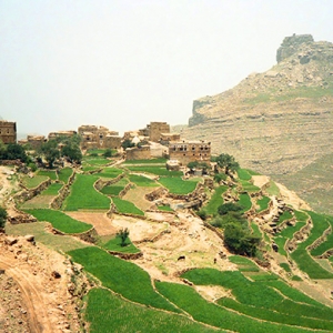 \"Щебневый вызов\" в ответ на #IceBucketChallenge