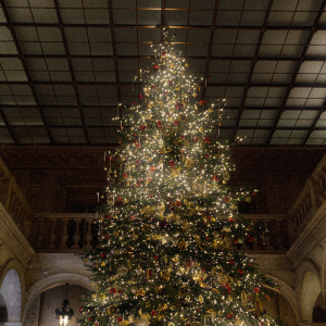 «Турандот», «Сахалин» и «Метрополь»: где в Москве праздновать Новый год 2026