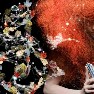 Приложение Бьорк Biophilia будет включено в школьную программу