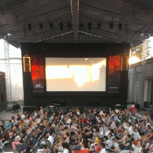 Летние баклажаны