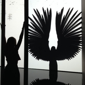 Эволюция революции