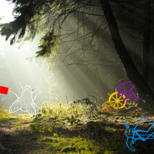 Жизнь насекомых