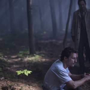 Стала известна полная программа Каннского кинофестиваля