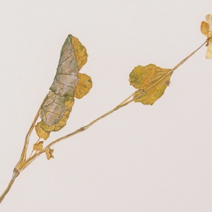 &quot;Гараж&quot; откроет первую выставку в Новой Голландии