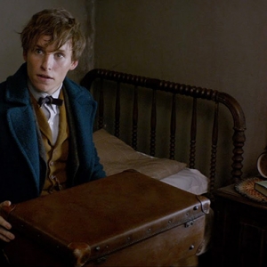 По книге Джоан Роулинг &quot;Фантастические звери и места их обитания&quot; снимут три фильма