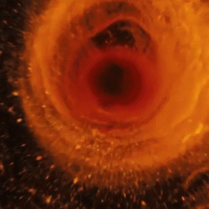 Микки Бланко представил новое видео