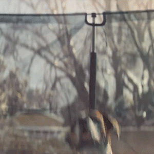 Звери на батуте: рождественская реклама John Lewis