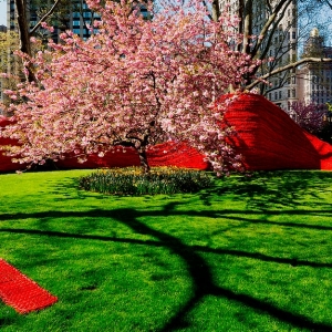 426 км веревки в парке Нью-Йорка