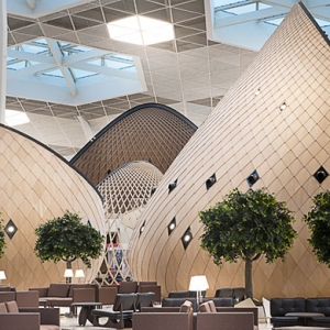 Деревянные &quot;коконы&quot; в новом терминале аэропорта Баку