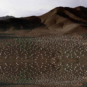 Тысячи яиц в пустыне Гоби: инсталляция Ши Шаопеня
