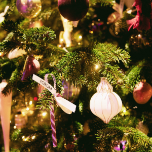 MR Group и Noôdome представили новогоднюю традицию — запуск ежегодной премиальной ярмарки