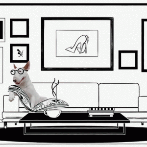 Jimmy The Dog: коллекция Jimmy Choo c иллюстратором из Бразилии