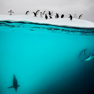 Редкие снимки из архива National Geographic выставлены в Лондоне