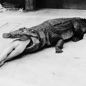 В Берлине открывается ретроспектива Хельмута Ньютона