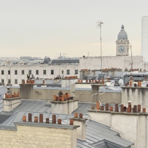 Коронавирус во Франции: цветущие магнолии и 67 млн евро штрафов в запертом Париже
