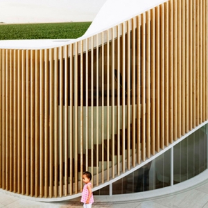 Дом как дерево: арт-резиденция от архитекторов Penda