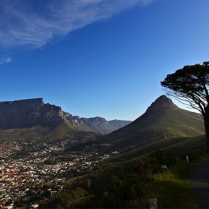 Кейптаун: цветы, пираты и жареные антилопы в самом красивом городе Африки