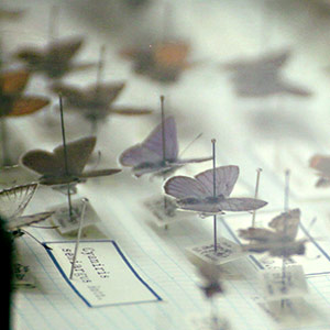 20 самых влиятельных российских художников 2016 года