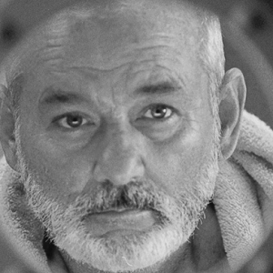 Билл Мюррей озвучит пса в новом фильме Уэса Андерсона