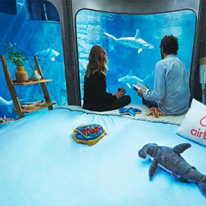 Airbnb предложил поспать с акулами