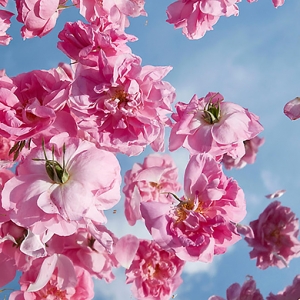 Louis Vuitton возвращается в парфюмерию