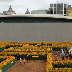 Музей Ван Гога в Амстердаме обзавелся новой постройкой и лабиринтом из подсолнухов