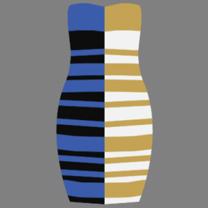 Вопрос дня: черно-синее или бело-золотое?