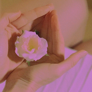 Ферритин и не только: какие миркоэлементы стоит проверить женщинам на чекапе? Отвечает эксперт