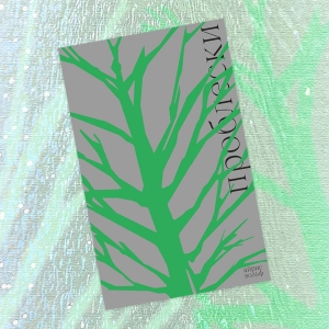 «Проблески»: отрывок из книги Айрис Вольф — о вечной дружбе, родстве душ и поиске места в мире