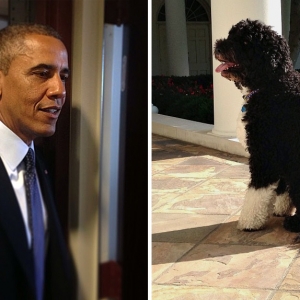 Белый дом изнутри: Instagram фотографа Барака Обамы