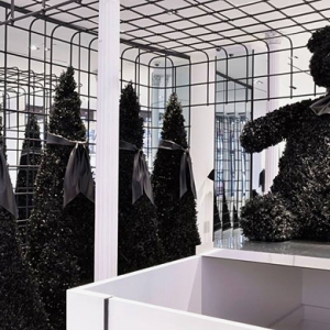 \"Черное Рождество\" Александра Ванга