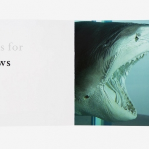 Дэмиен Херст выпустит книгу ABC