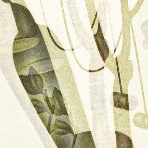 «Из тех художников, чье искусство спешки не терпит»: Анастасия Постригай — о Дмитрии Краснопевцеве