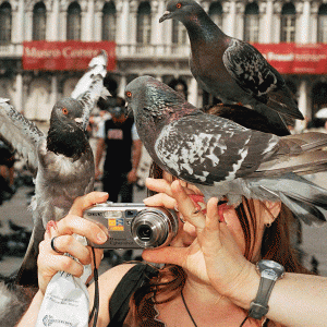 «Время брутализма» и «Я — Мартин Парр»: что смотреть на Beat Weekend 2025. Выбор BURO.