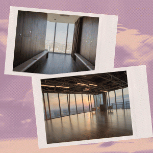 High Level, Pro Telo и GallaDance: где в Москве заниматься танцами