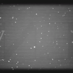 В сети появилось новое видео на композицию Дэвида Боуи