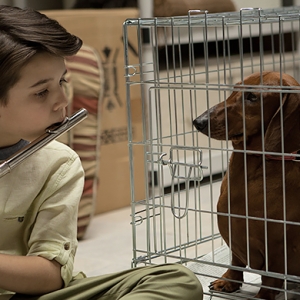 Дэнни ДеВито в черной комедии \"Такса\"