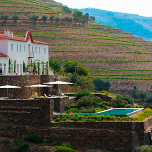 Усадьба в долине виноградников