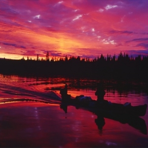 Выставка Антона Ланге в галерее Zeppelin