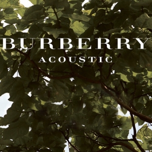 Новые треки Burberry Acoustic