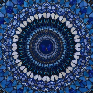 Результаты торгов Phillips de Pury & Company