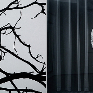 Выставка Чема Мадоса в МДФ