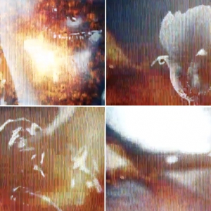 Дэвид Финчер снял видео на Immigrnant Song